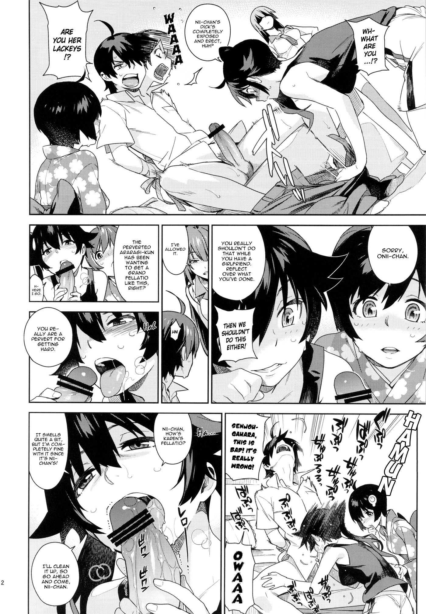 Bakemonogatari Dj - Valhallagatari Chapter 1000 Page 11